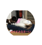 めいちゃん1（個別スタンプ：12）
