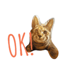 monkey meow meow（個別スタンプ：8）