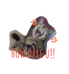 monkey meow meow（個別スタンプ：27）