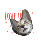 monkey meow meow（個別スタンプ：28）