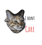 monkey meow meow（個別スタンプ：39）