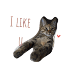 monkey meow meow（個別スタンプ：40）