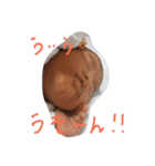 MyD（個別スタンプ：1）