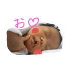 MyD（個別スタンプ：7）