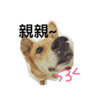 Mix power（個別スタンプ：3）