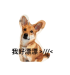 Mix power（個別スタンプ：5）