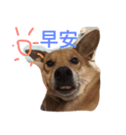 Mix power（個別スタンプ：8）