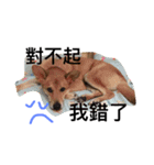 Mix power（個別スタンプ：10）