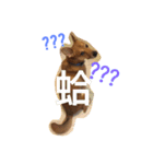 Mix power（個別スタンプ：11）