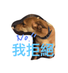Mix power（個別スタンプ：12）