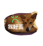 Mix power（個別スタンプ：16）