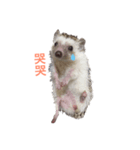 Little hedgehog Bitter melon（個別スタンプ：2）