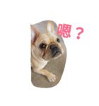 Fighting the pill of a hundred kinds（個別スタンプ：3）