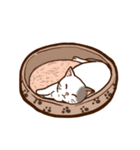 のんこのスタンプ（個別スタンプ：19）