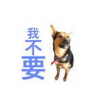 The baby dog（個別スタンプ：5）