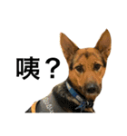 The baby dog（個別スタンプ：6）