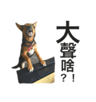The baby dog（個別スタンプ：8）