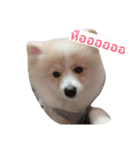 Lucky Naughty（個別スタンプ：6）