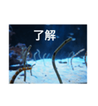 チンアナゴの一言（個別スタンプ：33）
