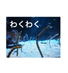 チンアナゴの一言（個別スタンプ：34）