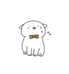 敬語ネコ（個別スタンプ：34）