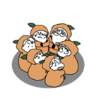 オレンジ兄弟（個別スタンプ：1）