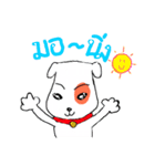 Toommeng The Happy Dog（個別スタンプ：15）