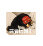 黒柴犬 日本犬（個別スタンプ：15）