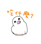 Bird is life（個別スタンプ：10）