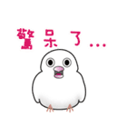 Bird is life（個別スタンプ：11）