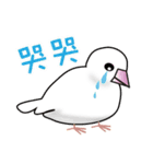 Bird is life（個別スタンプ：24）