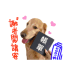 Greedy dog "whisky"（個別スタンプ：9）