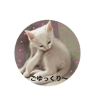 ふくちゃんっていいます（個別スタンプ：8）