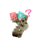 うちのプーちゃん。（個別スタンプ：25）