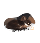 PonTa0225！（個別スタンプ：3）