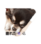 PonTa0225！（個別スタンプ：5）