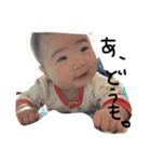 harepi stamp（個別スタンプ：1）