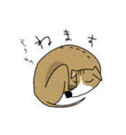 イタグレの生活 Vol.4（個別スタンプ：39）
