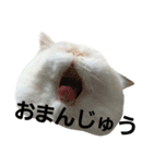 食いしん坊ぶひぶひ（個別スタンプ：11）