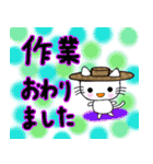 農家・農業従事者向け かわいい白ねこさん（個別スタンプ：1）