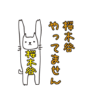 ばんざい猫 桜木谷用（個別スタンプ：23）