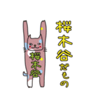 ばんざい猫 桜木谷用（個別スタンプ：40）