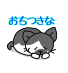 へんな柄のしろくろねこ（個別スタンプ：4）