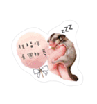 Sugarglider-Thank you for love me（個別スタンプ：13）