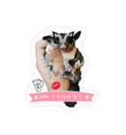 Sugarglider-Thank you for love me（個別スタンプ：15）