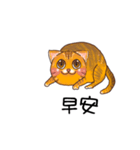 pluto is a cat（個別スタンプ：23）