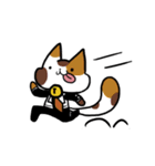 housekeeper cat（個別スタンプ：31）