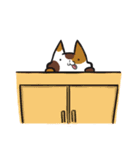 housekeeper cat（個別スタンプ：36）