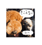 はなまる家族専用（個別スタンプ：8）