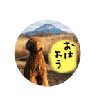 はなまる家族専用（個別スタンプ：18）